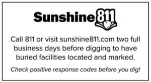 sunshine811